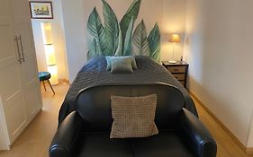 Joli Et Agreable Studio